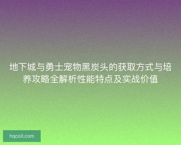 地下城与勇士宠物黑炭头的获取方式与培养攻略全解析性能特点及实战价值