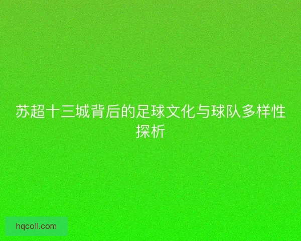 苏超十三城背后的足球文化与球队多样性探析