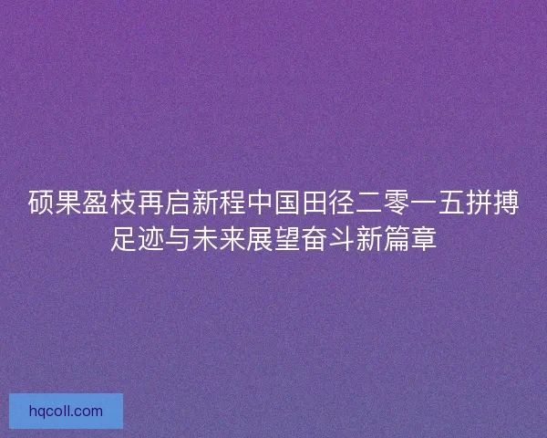 硕果盈枝再启新程中国田径二零一五拼搏足迹与未来展望奋斗新篇章